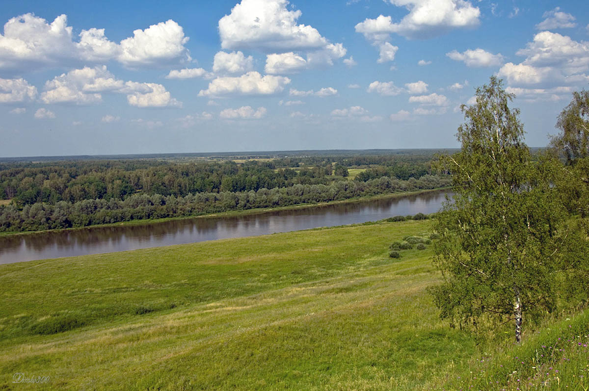 Растения Воронежской Области Фото